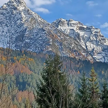 Πανσιόν Da Pierina Santo Stefano Di Cadore
