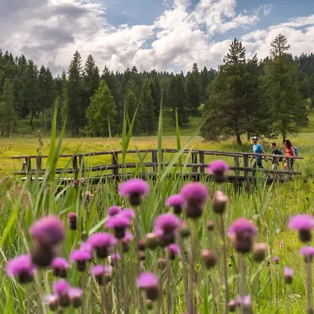 Πανσιόν Da Pierina Santo Stefano Di Cadore