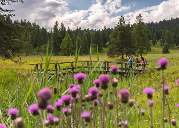 Πανσιόν Da Pierina Santo Stefano Di Cadore